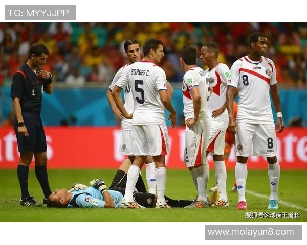 新西兰足球明星盘点：谁是绿茵场上的闪耀之星