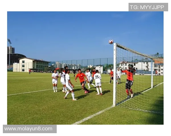 足球明星茂臻的成长历程与成就揭秘他的影响力如何改变了中国足球