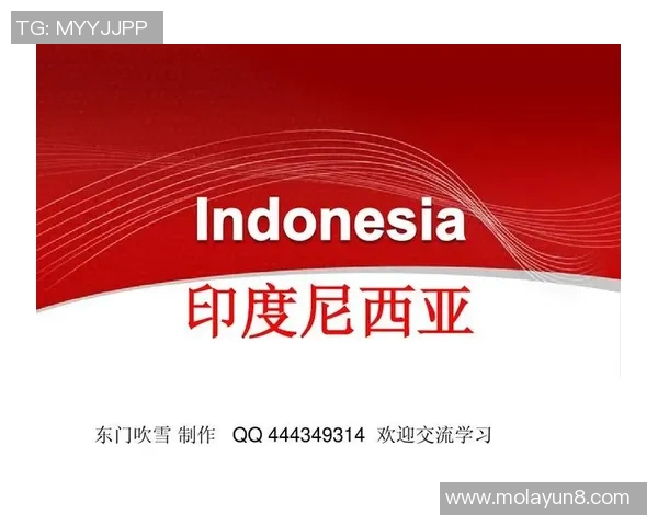 新加坡与印度尼西亚的经济合作与文化交流新篇章探讨