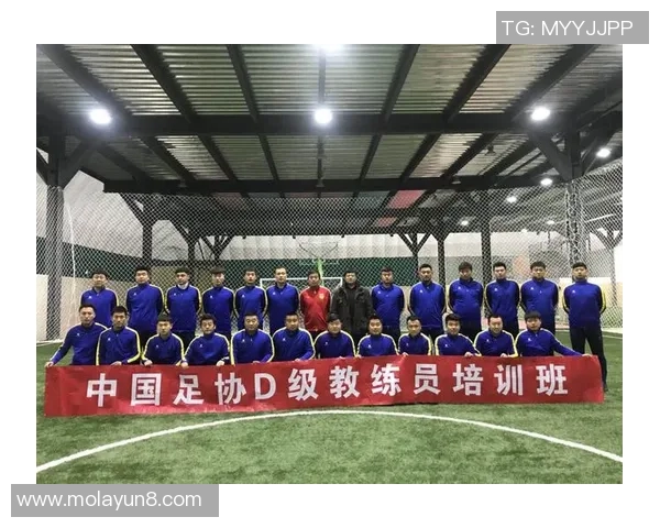 全面提升足球教练水平的D级教材解析与实用技巧分享