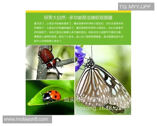 探索户外运动的乐趣全面了解户外体育用品的种类与选择指南